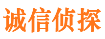 龙湖诚信私家侦探公司